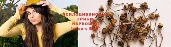 гидра Козловка