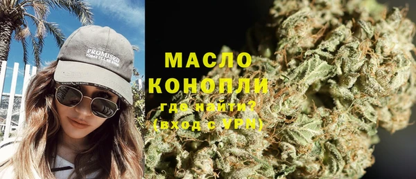гидра Козловка