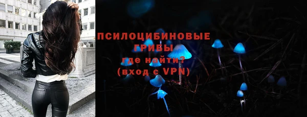 гидра Козловка