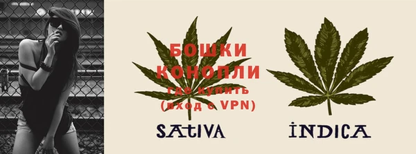 гидра Козловка