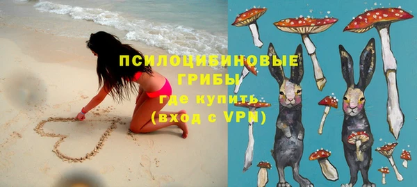 не бодяженный Козельск