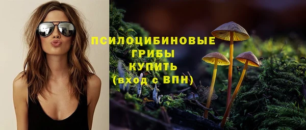 гидра Козловка